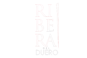 D.O. Ribera de Duero & ボトル内のメッセージ®